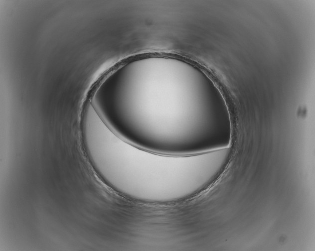 X0000091211168200708091109