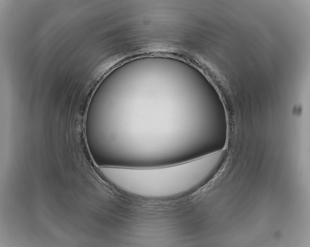 X0000091211169200708091109