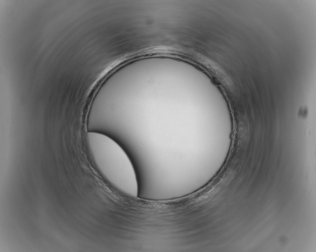 X0000091211170200708091109