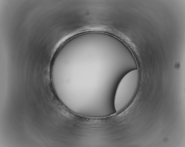 X0000091211174200708091109