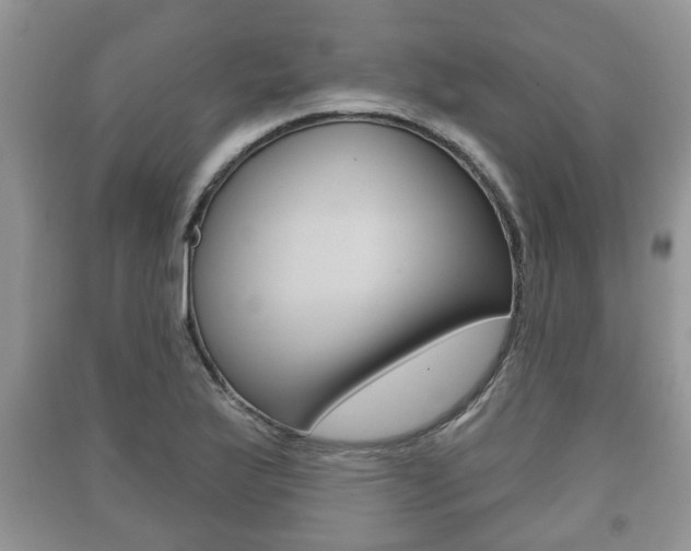 X0000091211175200708091109