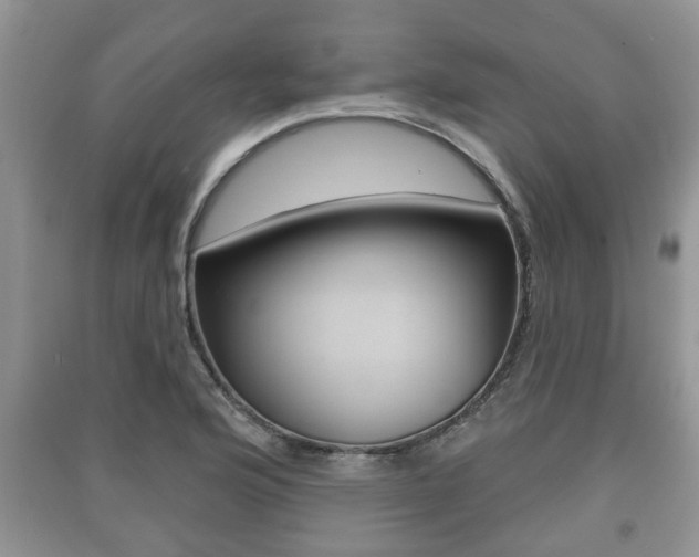 X0000091211176200708091109