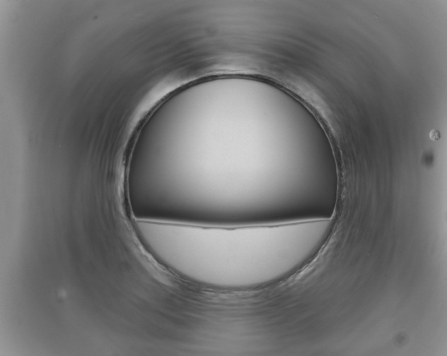 X0000091211179200708091109