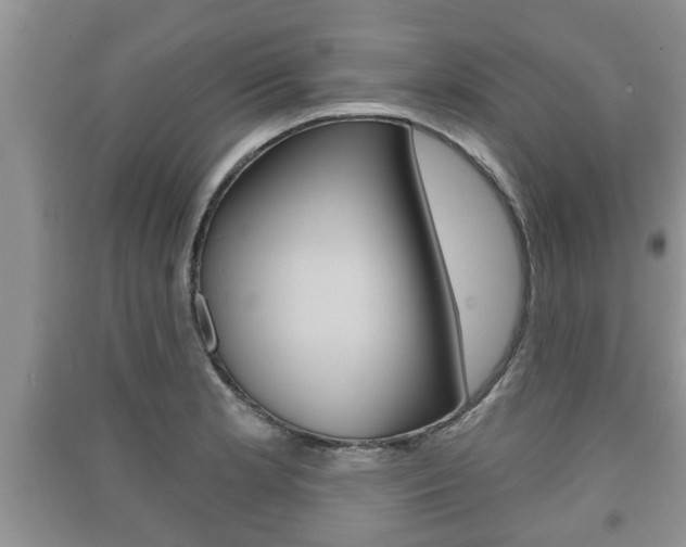 X0000091211181200708091109