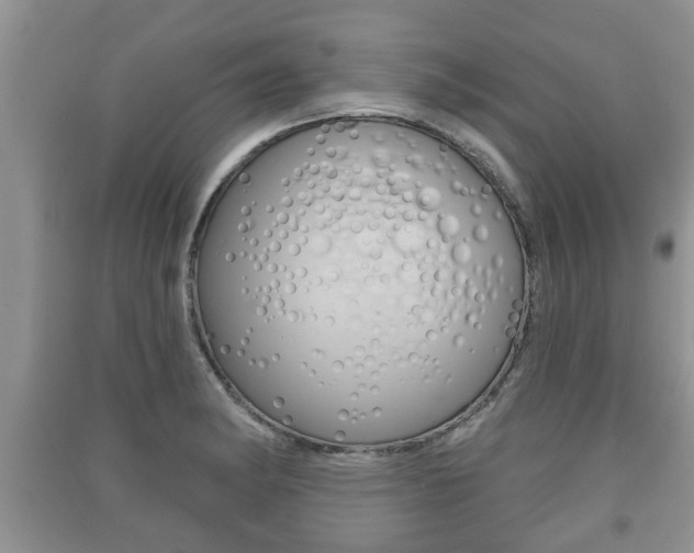 X0000091211182200708091109
