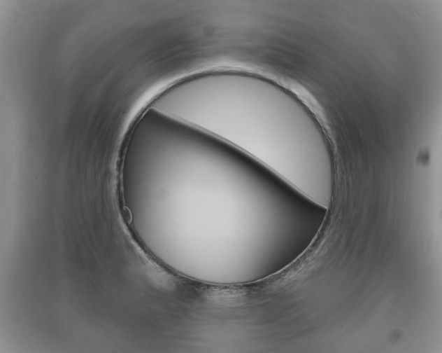 X0000091211183200708091109