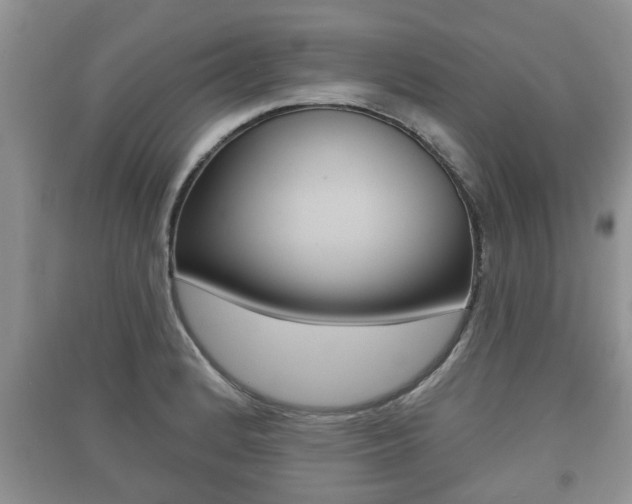 X0000091211184200708091109
