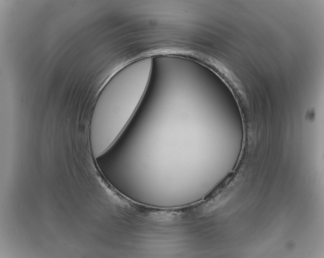 X0000091211185200708091109