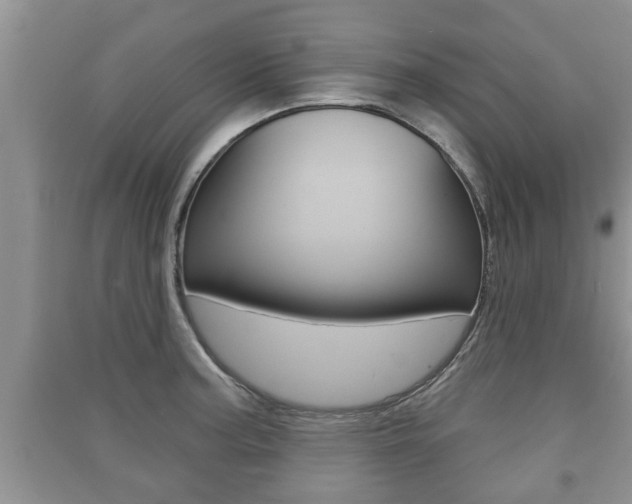 X0000091211187200708091109
