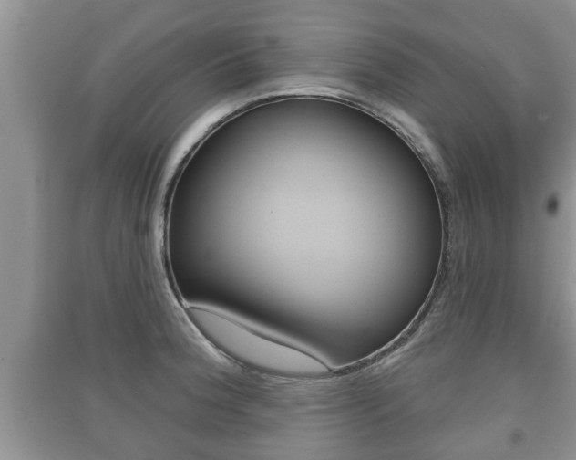X0000091211188200708091109