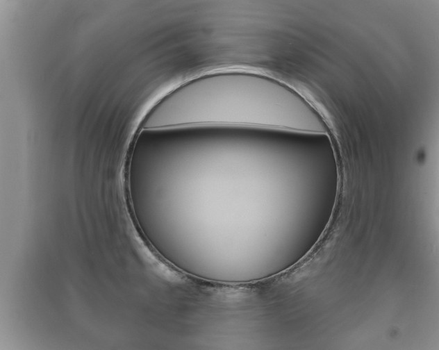 X0000091211189200708091109