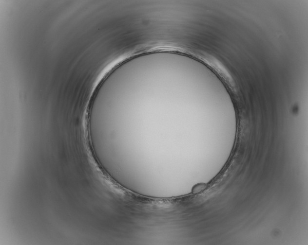 X0000091211190200708091109