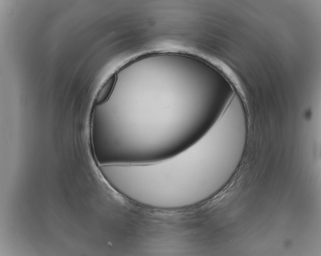 X0000091211191200708091109