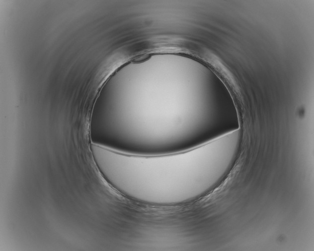 X0000091211193200708091109