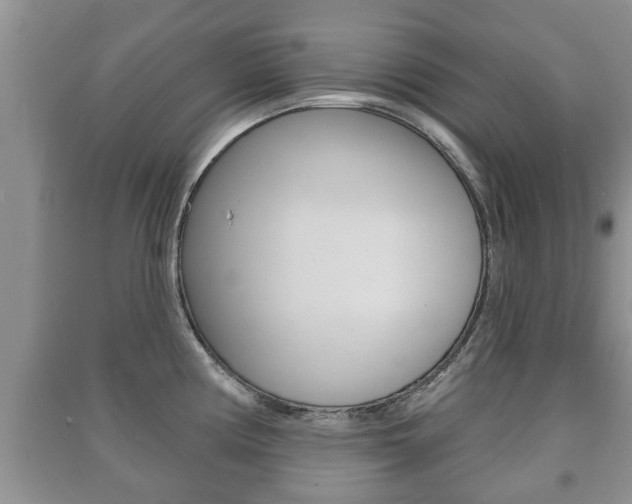 X0000091211194200708091109