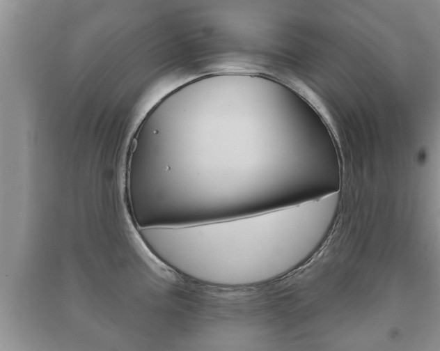X0000091211195200708091109