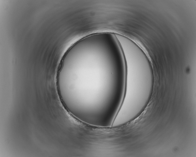 X0000091211197200708091109