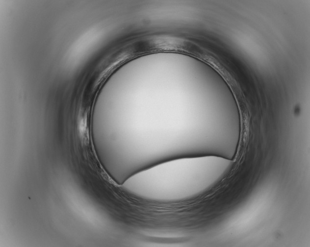X0000091211198200708091109