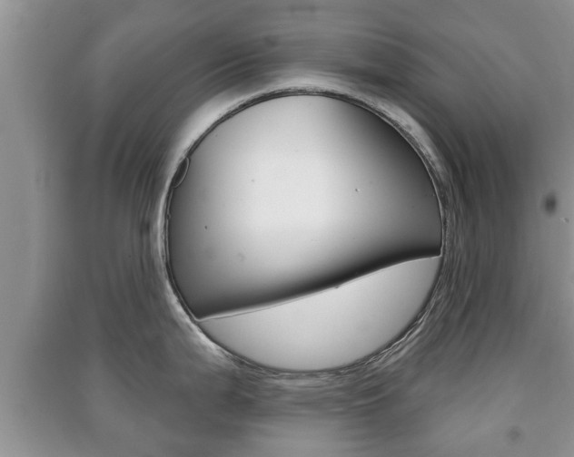 X0000091211199200708091109
