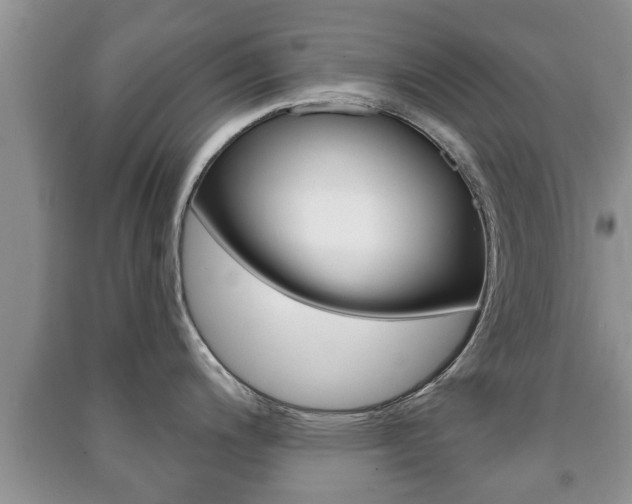 X0000091211200200708091109