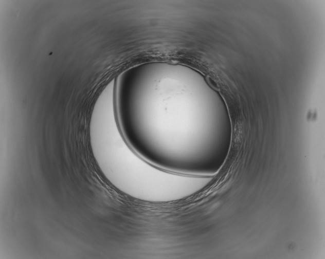 X0000091211202200708091108