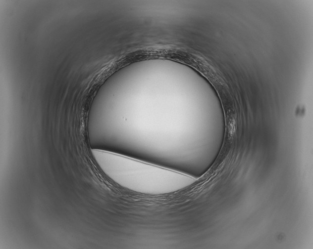 X0000091211204200708091108