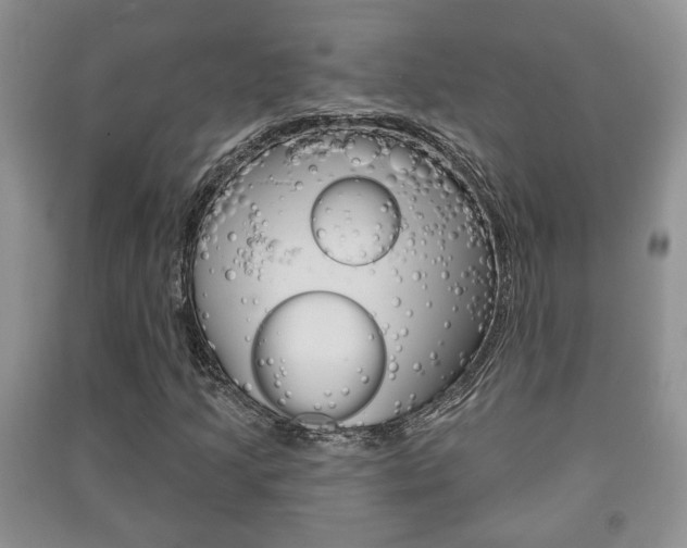 X0000091211205200708091108