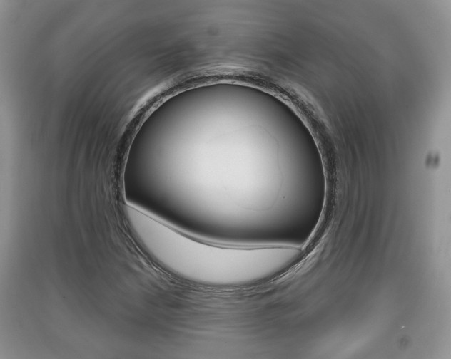X0000091211210200708091108