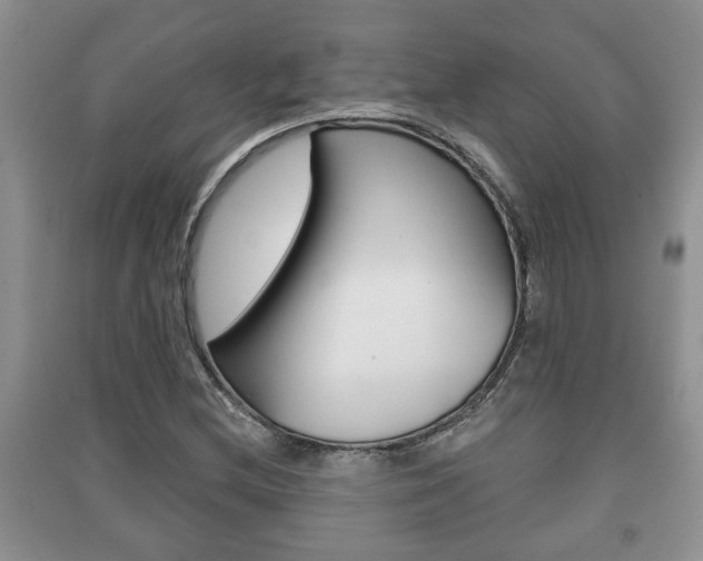 X0000091211212200708091108