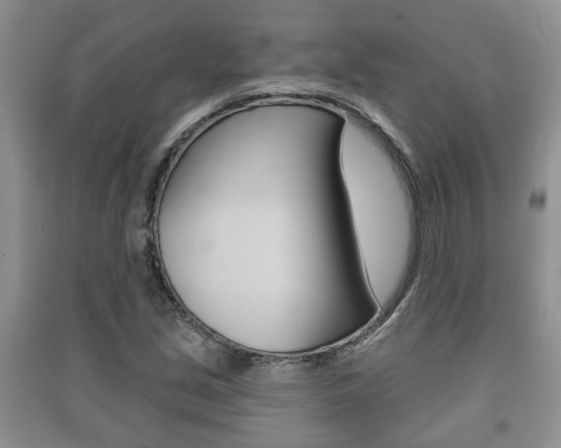 X0000091211213200708091108