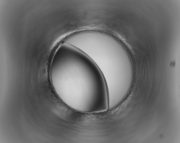 X0000091211214200708091108