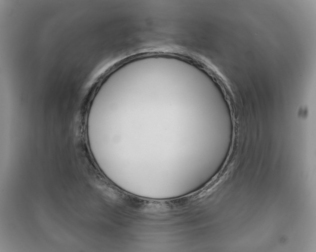 X0000091211215200708091108