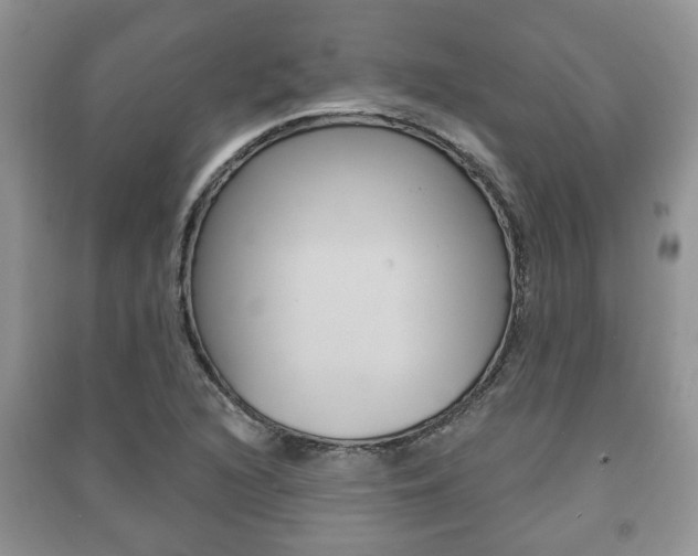 X0000091211216200708091108