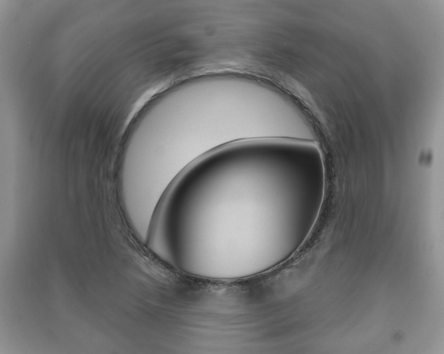 X0000091211218200708091108