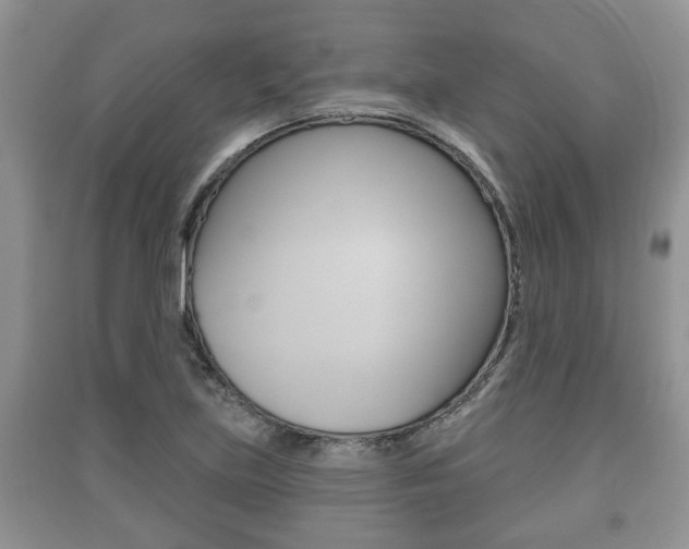 X0000091211219200708091108