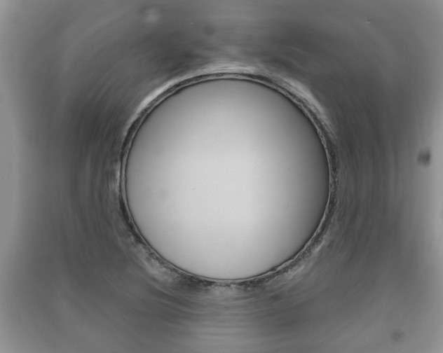 X0000091211220200708091108