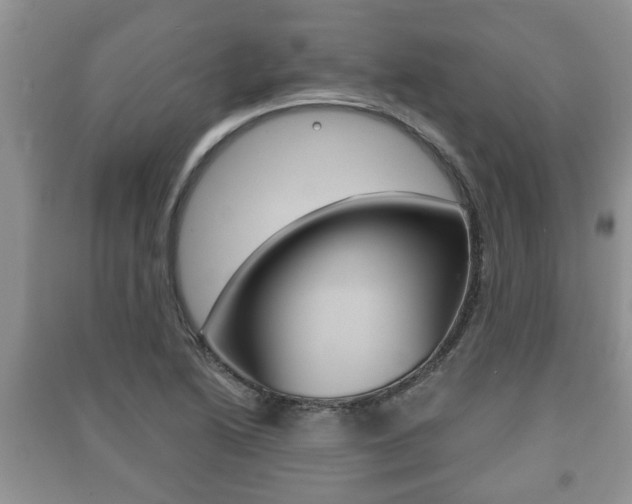 X0000091211222200708091108