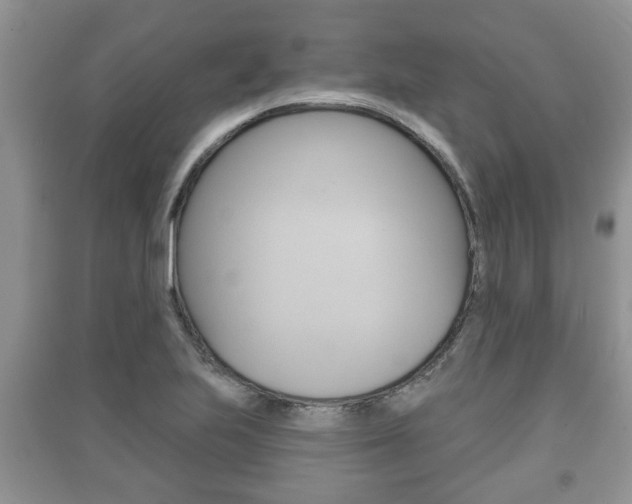 X0000091211223200708091108