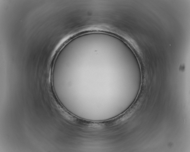 X0000091211224200708091108