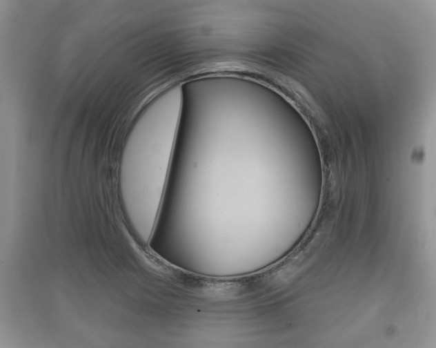 X0000091211225200708091108