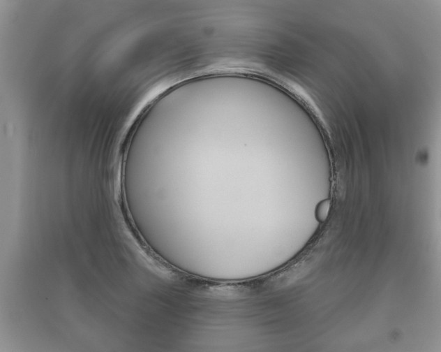 X0000091211227200708091108