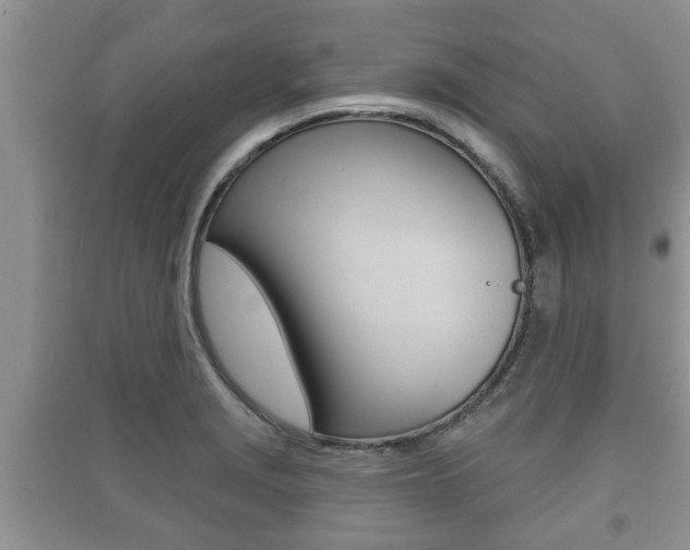X0000091211229200708091108