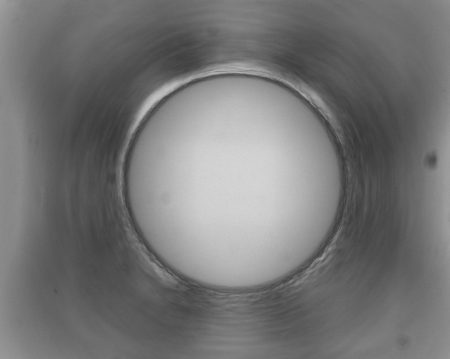 X0000091211230200708091108