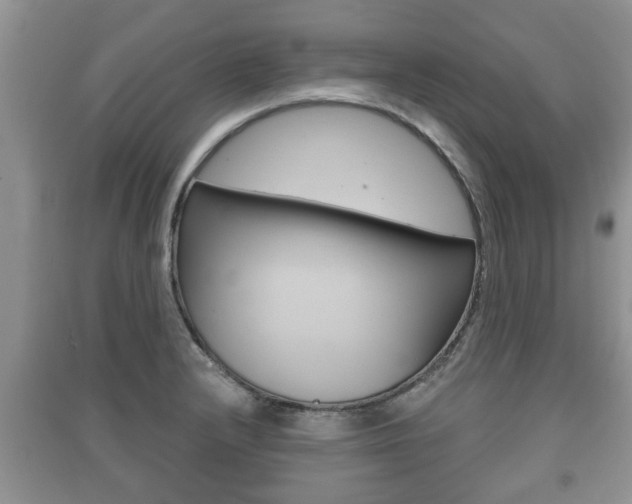 X0000091211232200708091108