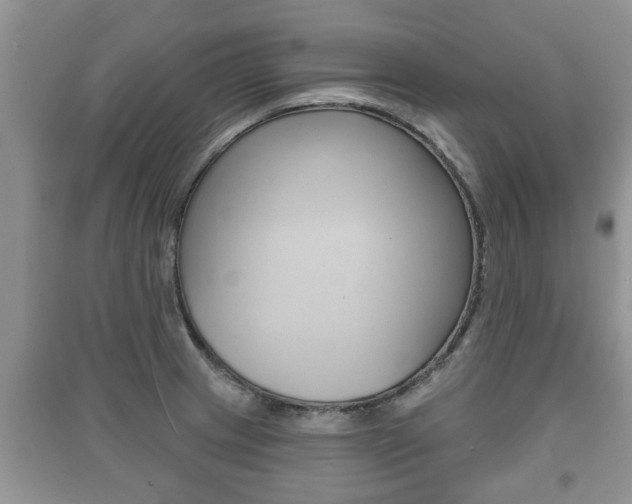 X0000091211233200708091108