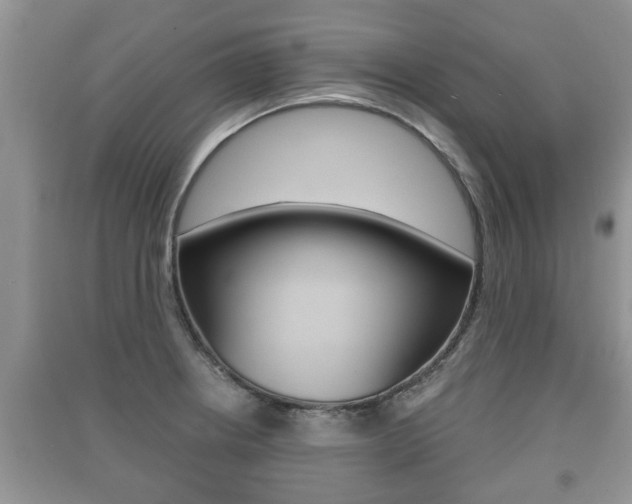 X0000091211234200708091108