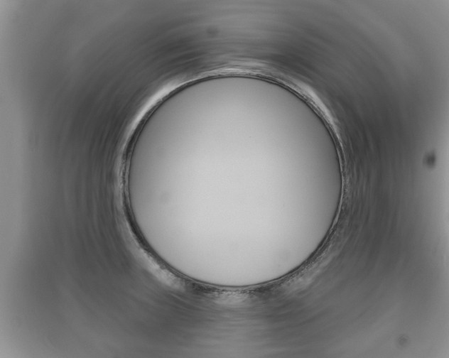 X0000091211235200708091108