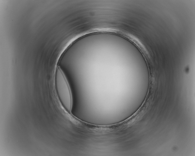 X0000091211236200708091108