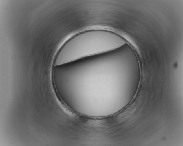 X0000091211237200708091108