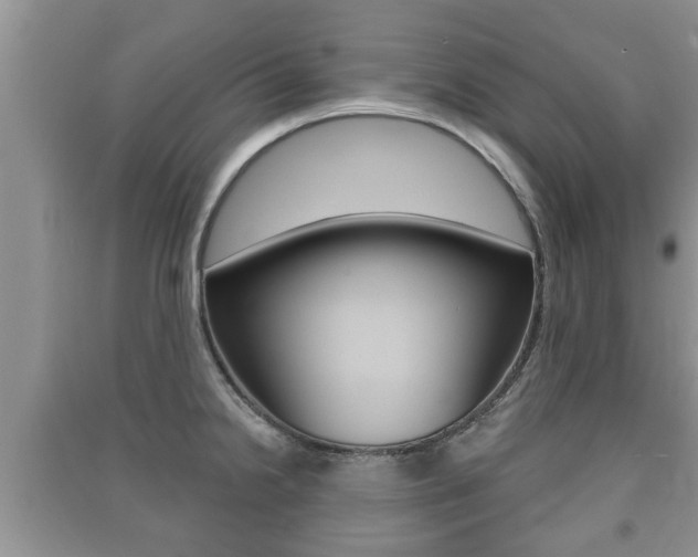 X0000091211238200708091108